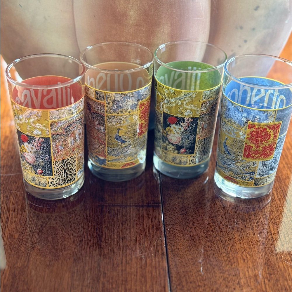 Roberto Cavalli Home Vibrant Glass Set